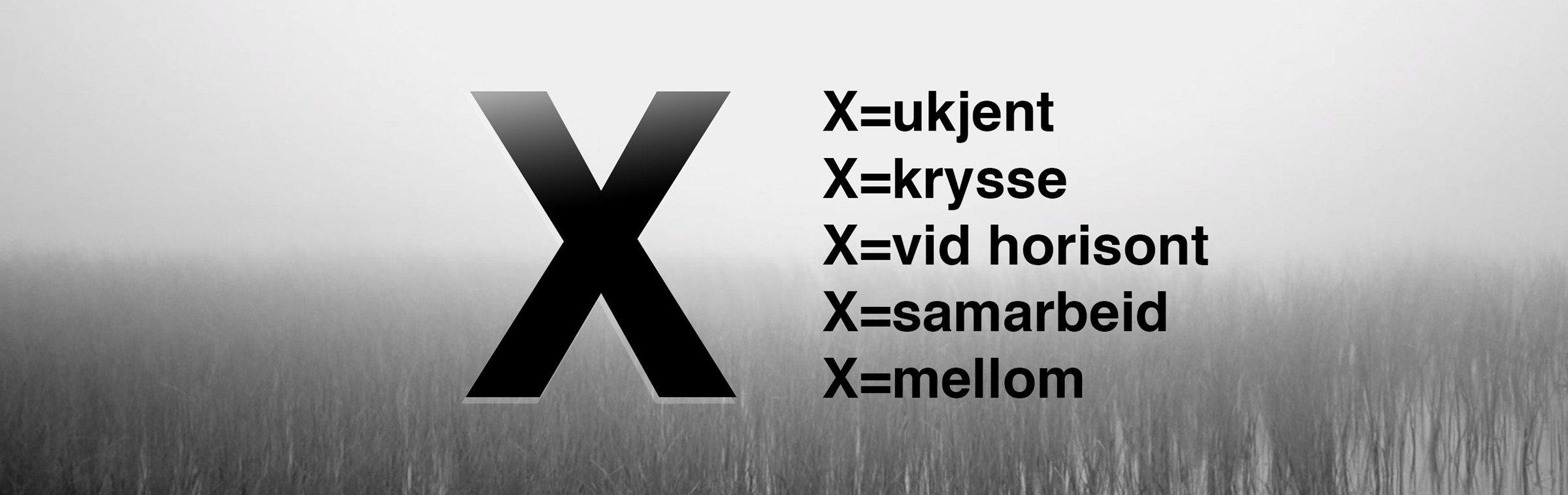 x.jpg